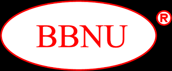 Logo Công ty Luật TNHH BB & NU